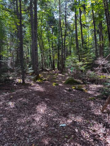 50-52A-54 Old County Road Sedgwick ME 04676