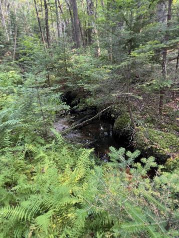 50-52A-54 Old County Road Sedgwick ME 04676