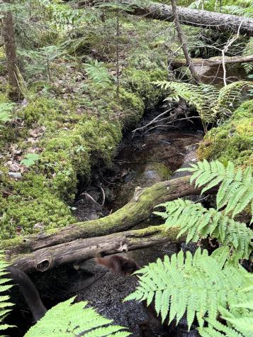 50-52A-54 Old County Road Sedgwick ME 04676