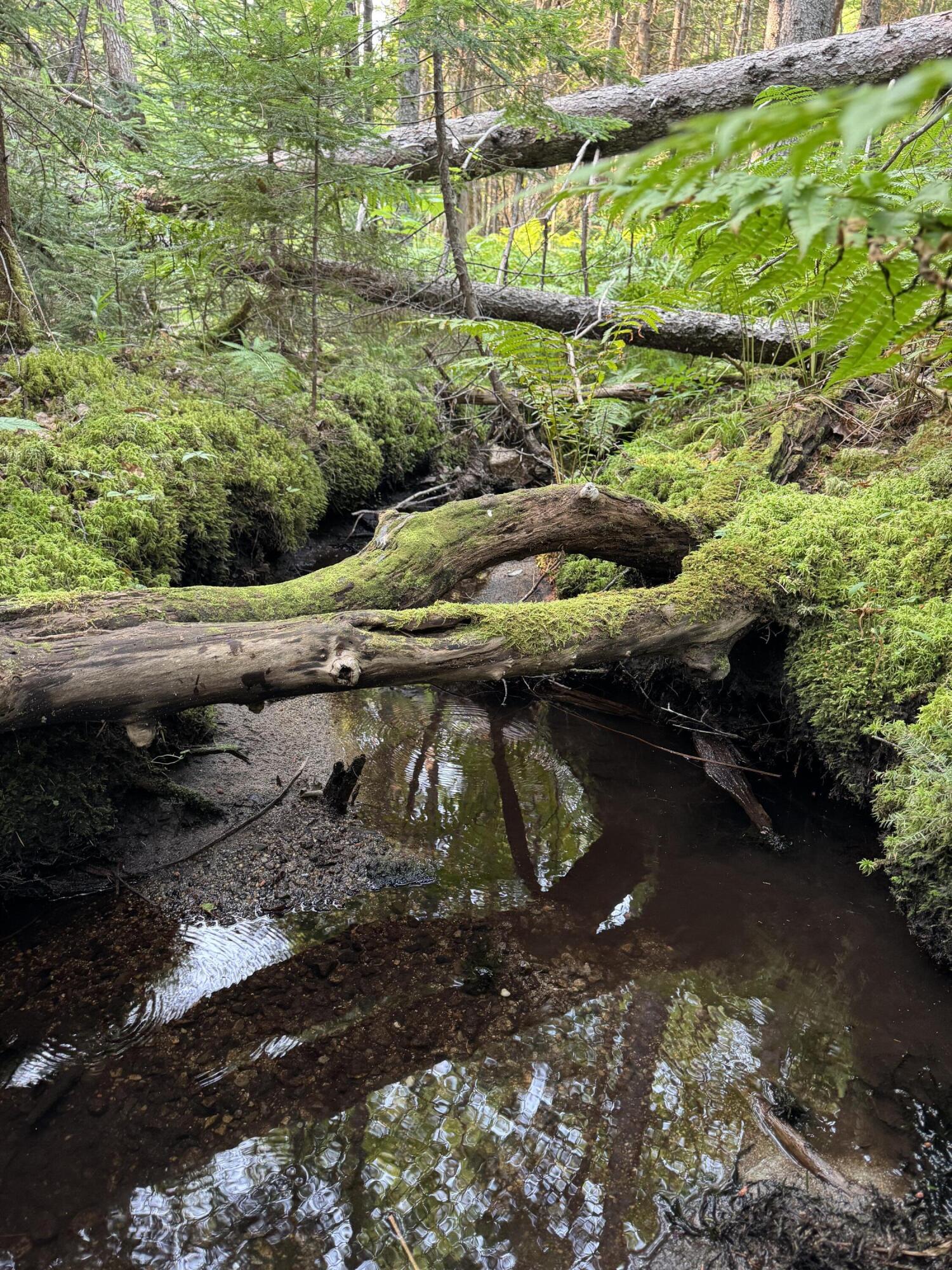 50-52A-54 Old County Road Sedgwick ME 04676