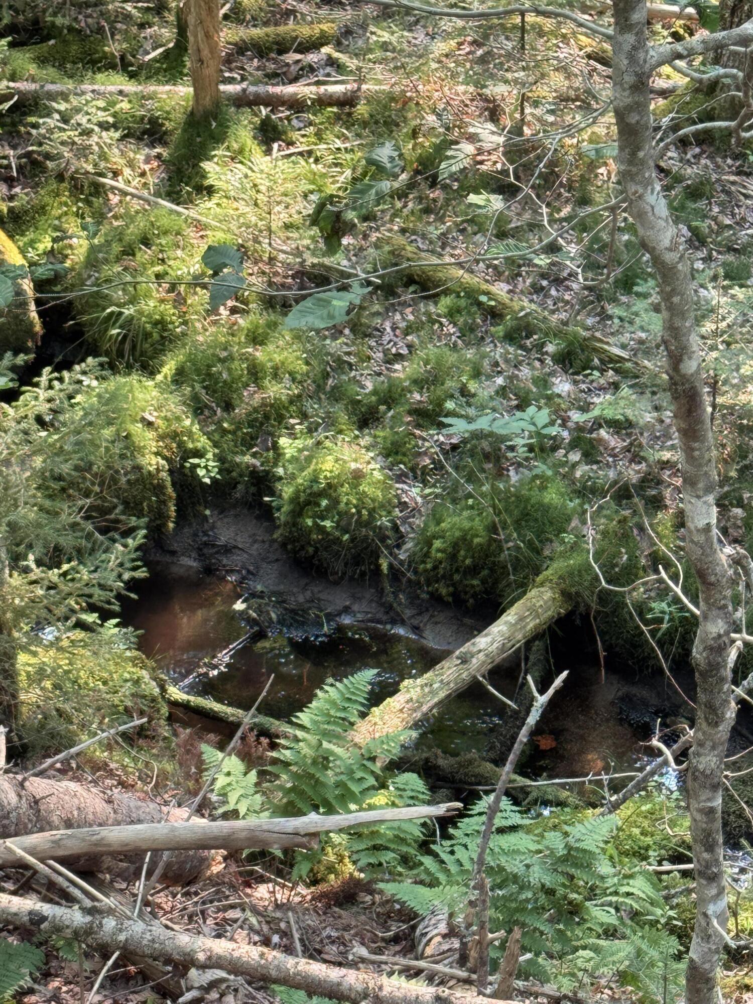 50-52A-54 Old County Road Sedgwick ME 04676