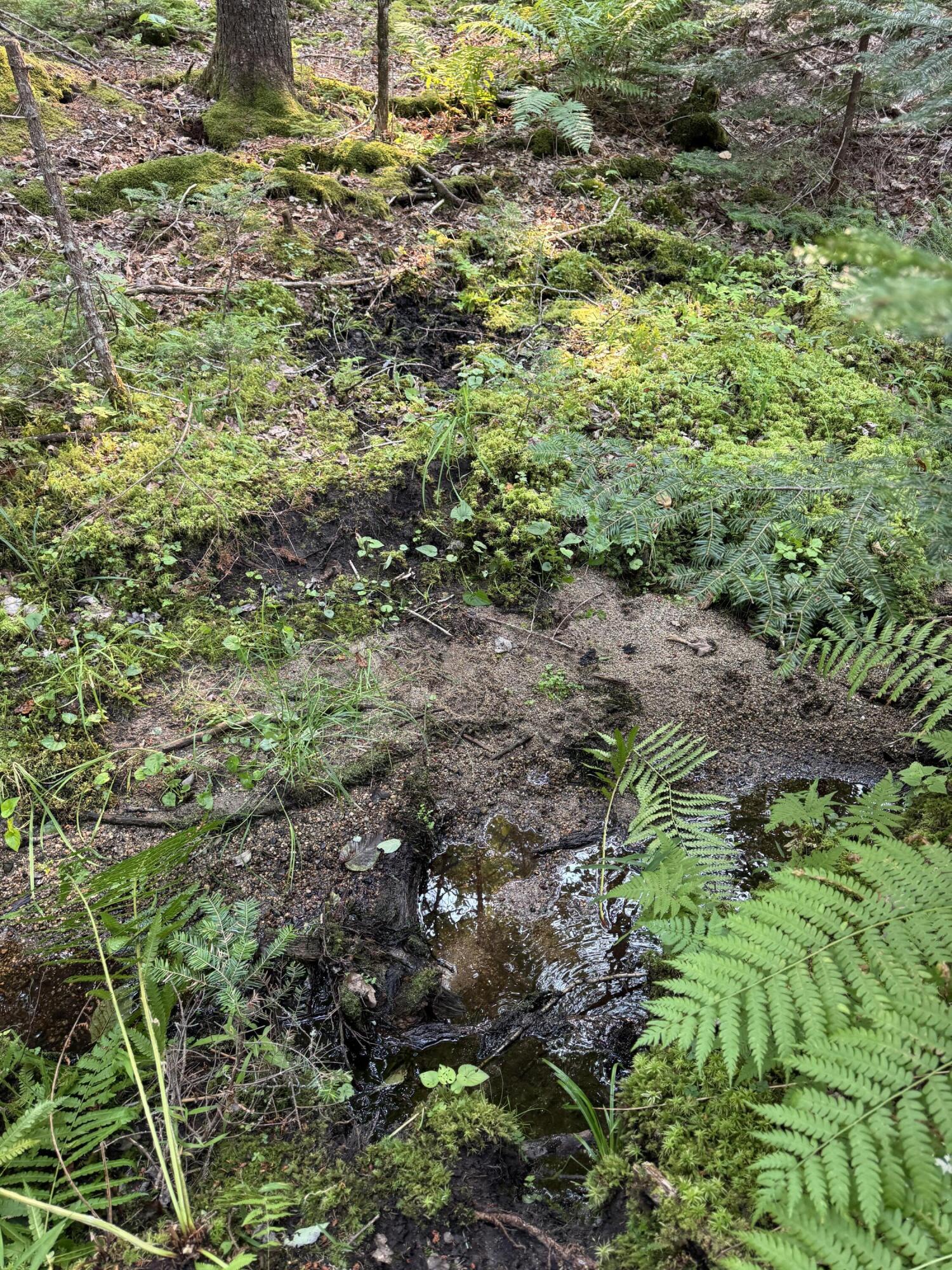 50-52A-54 Old County Road Sedgwick ME 04676