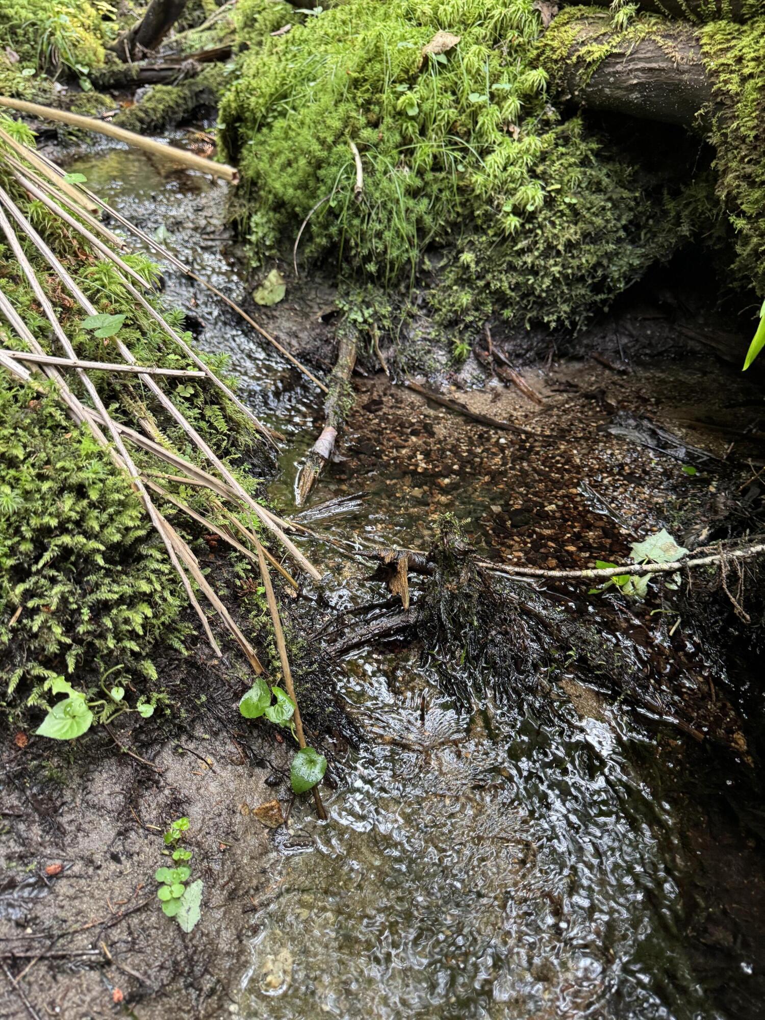 50-52A-54 Old County Road Sedgwick ME 04676