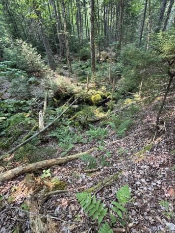 50-52A-54 Old County Road Sedgwick ME 04676