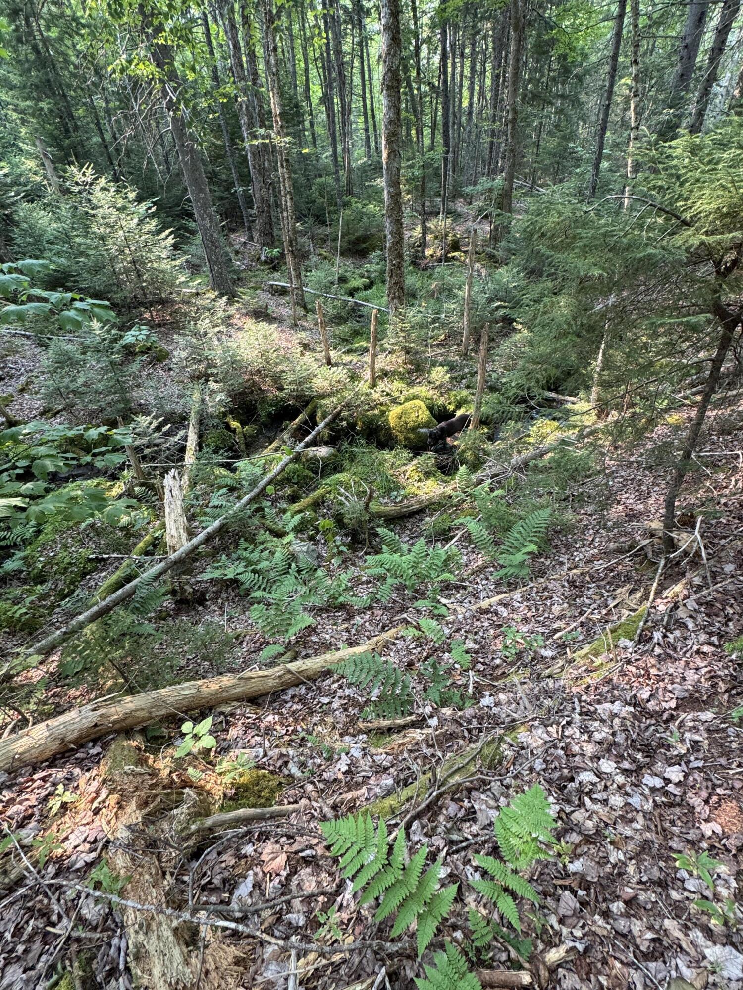 50-52A-54 Old County Road Sedgwick ME 04676