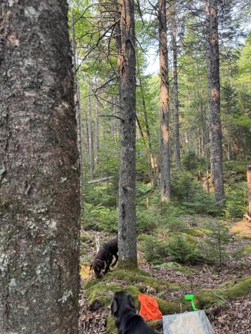 50-52A-54 Old County Road Sedgwick ME 04676