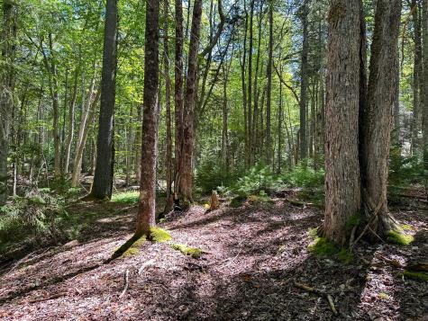 50-52A-54 Old County Road Sedgwick ME 04676