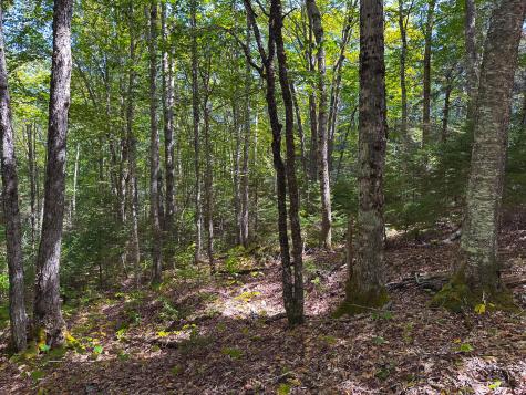 50-52A-54 Old County Road Sedgwick ME 04676