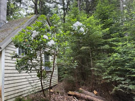 50-52A-54 Old County Road Sedgwick ME 04676