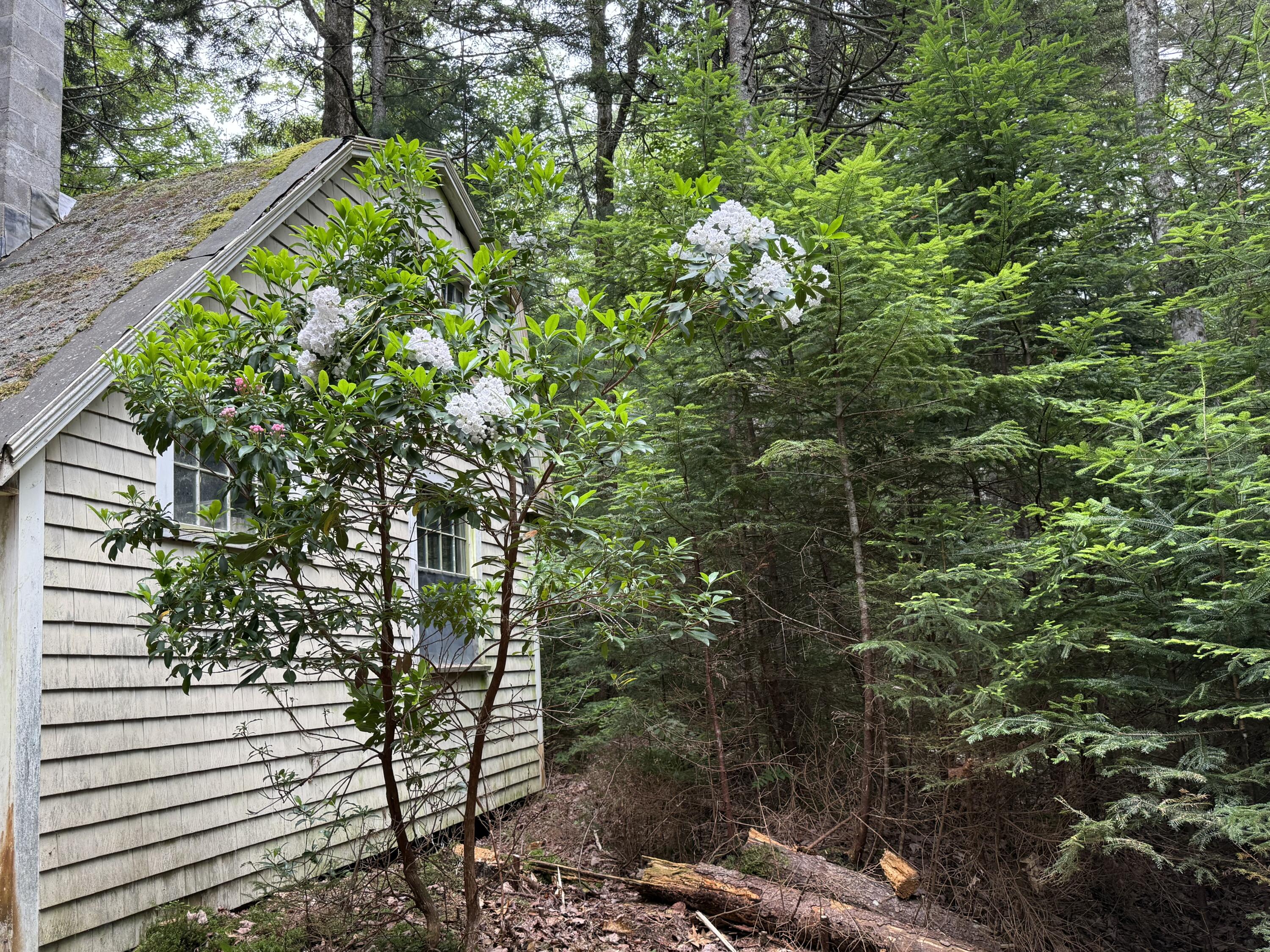 50-52A-54 Old County Road Sedgwick ME 04676