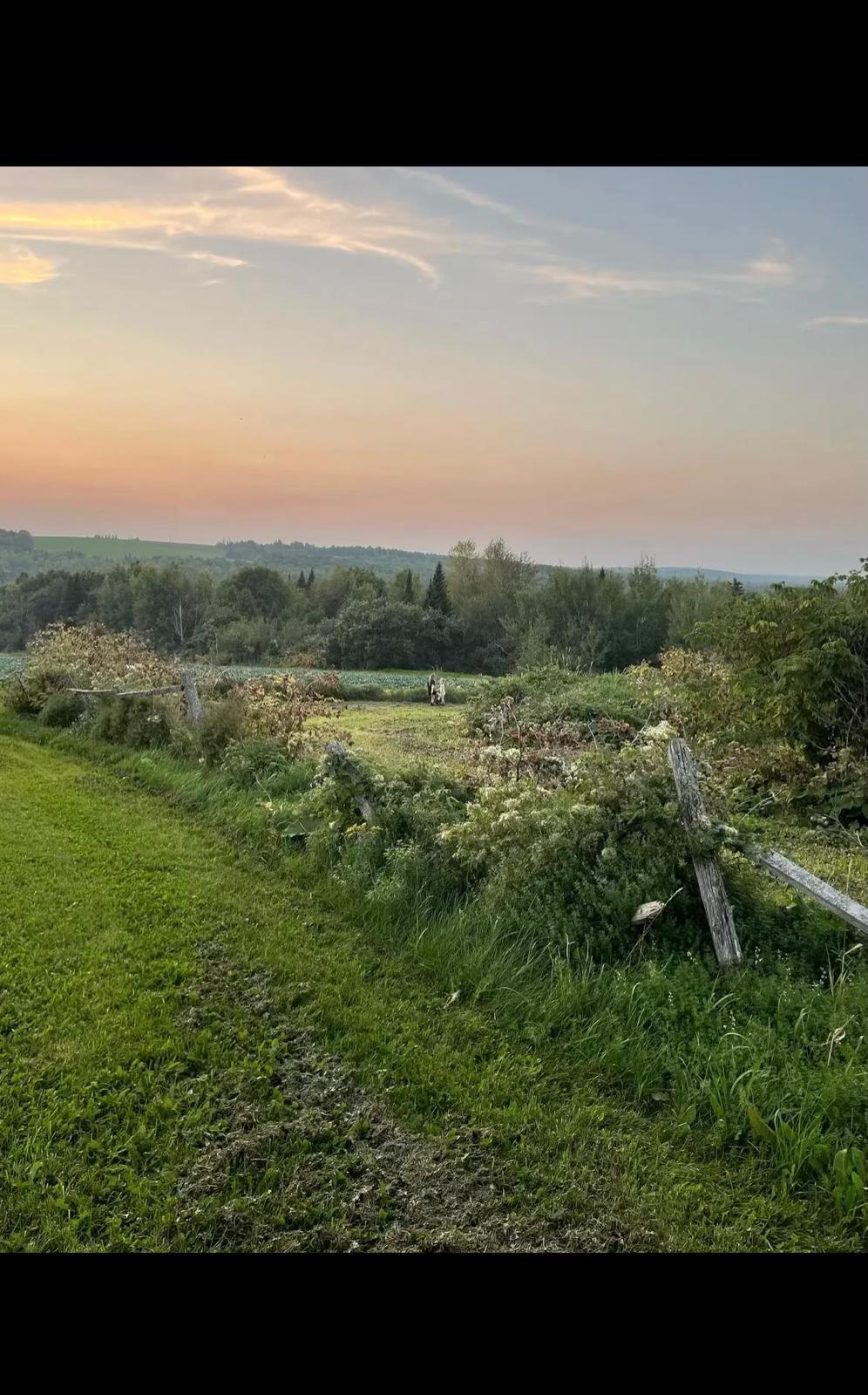 M8-L16 Grendell Road Chapman ME 04757