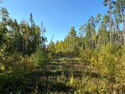 M8-L16 Grendell Road Chapman ME 04757