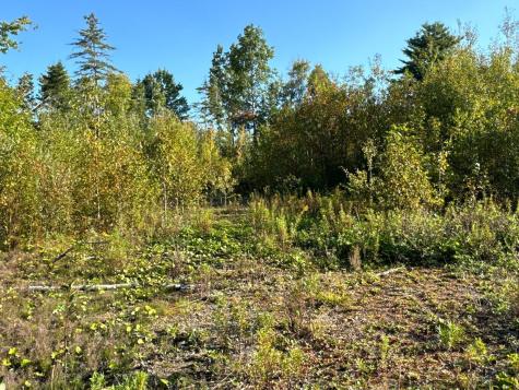M8-L16 Grendell Road Chapman ME 04757