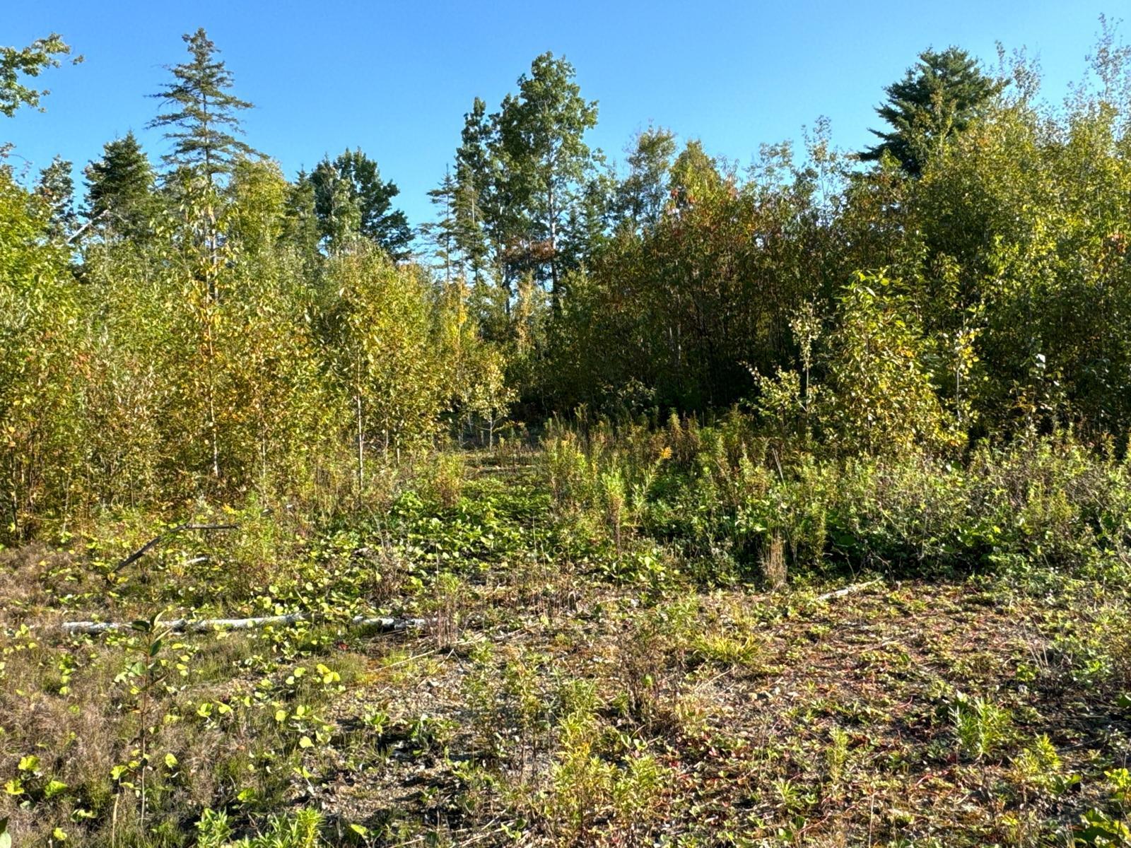 M8-L16 Grendell Road Chapman ME 04757