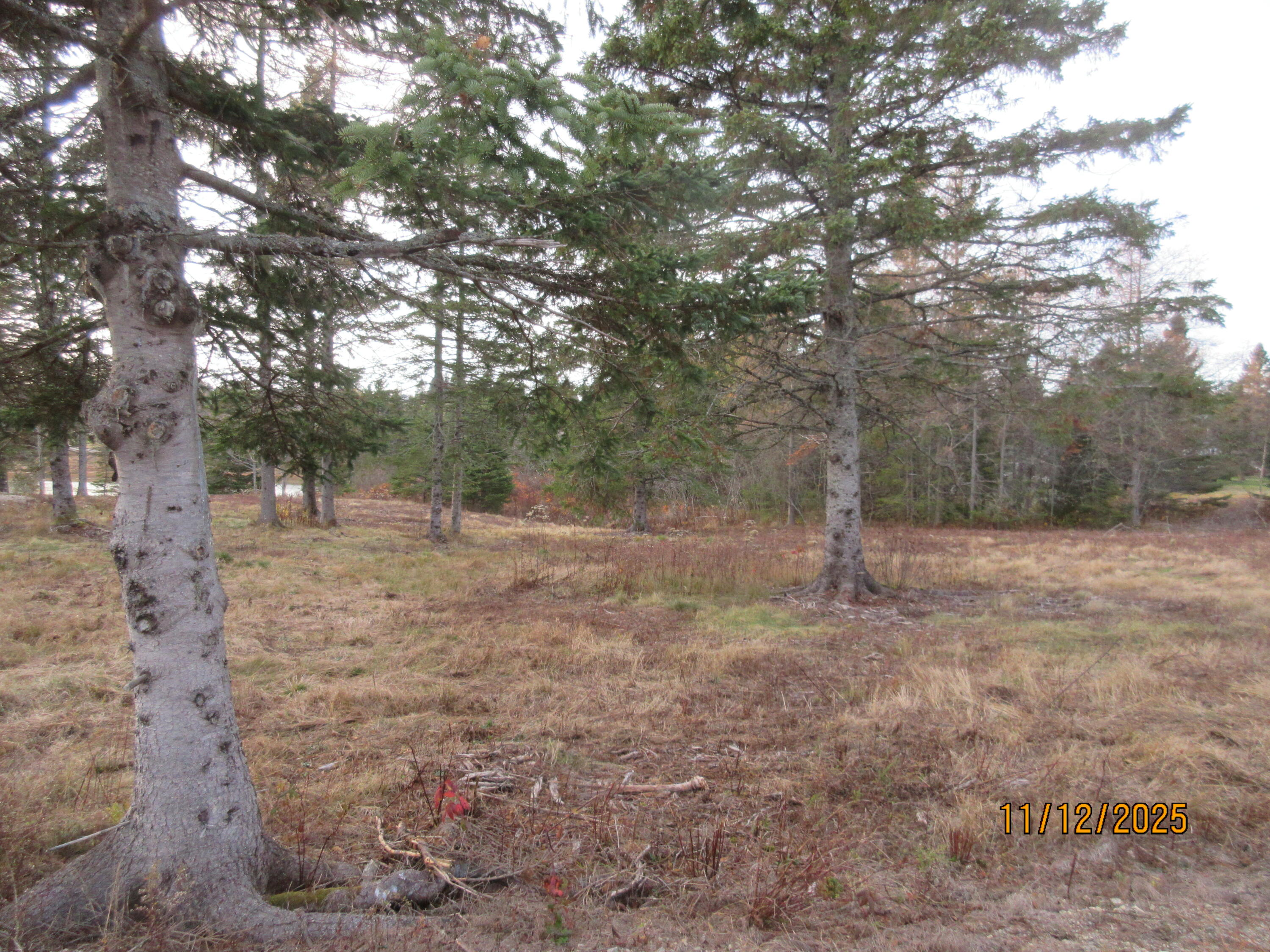 Lot 2 Smalls Point Road Machiasport ME 04655