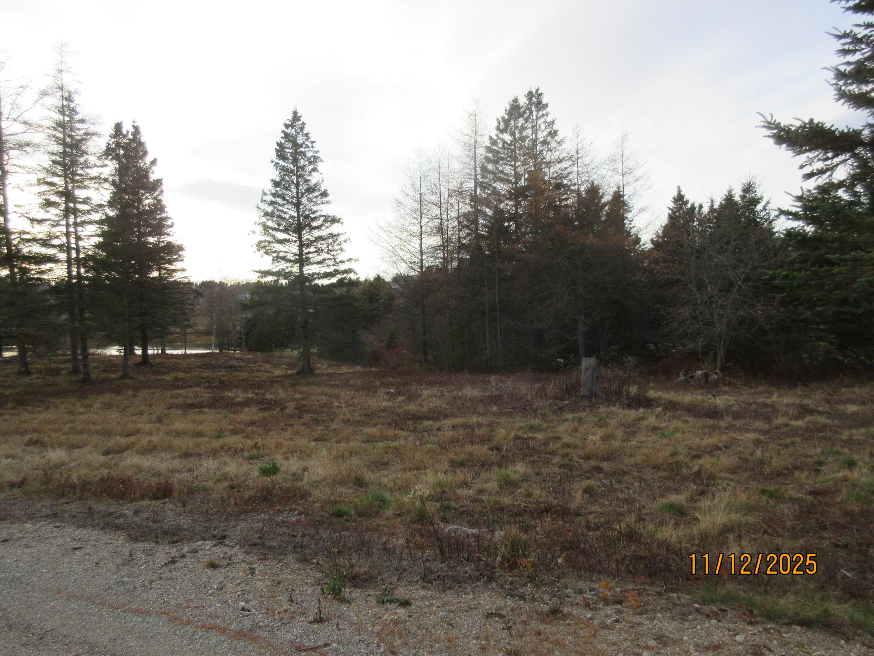 Lot 2 Smalls Point Road Machiasport ME 04655