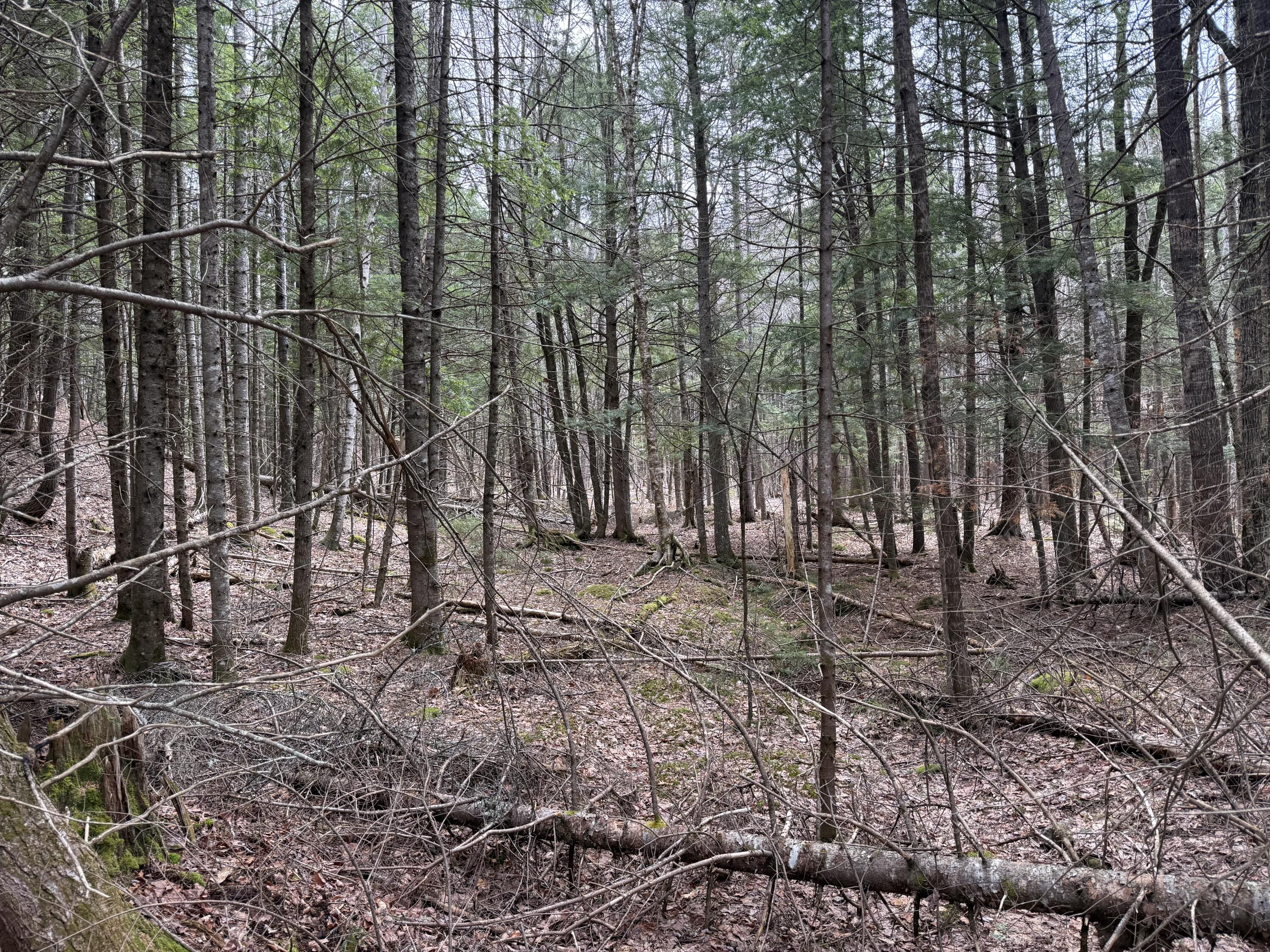 3 Webb River Acres Carthage ME 04224