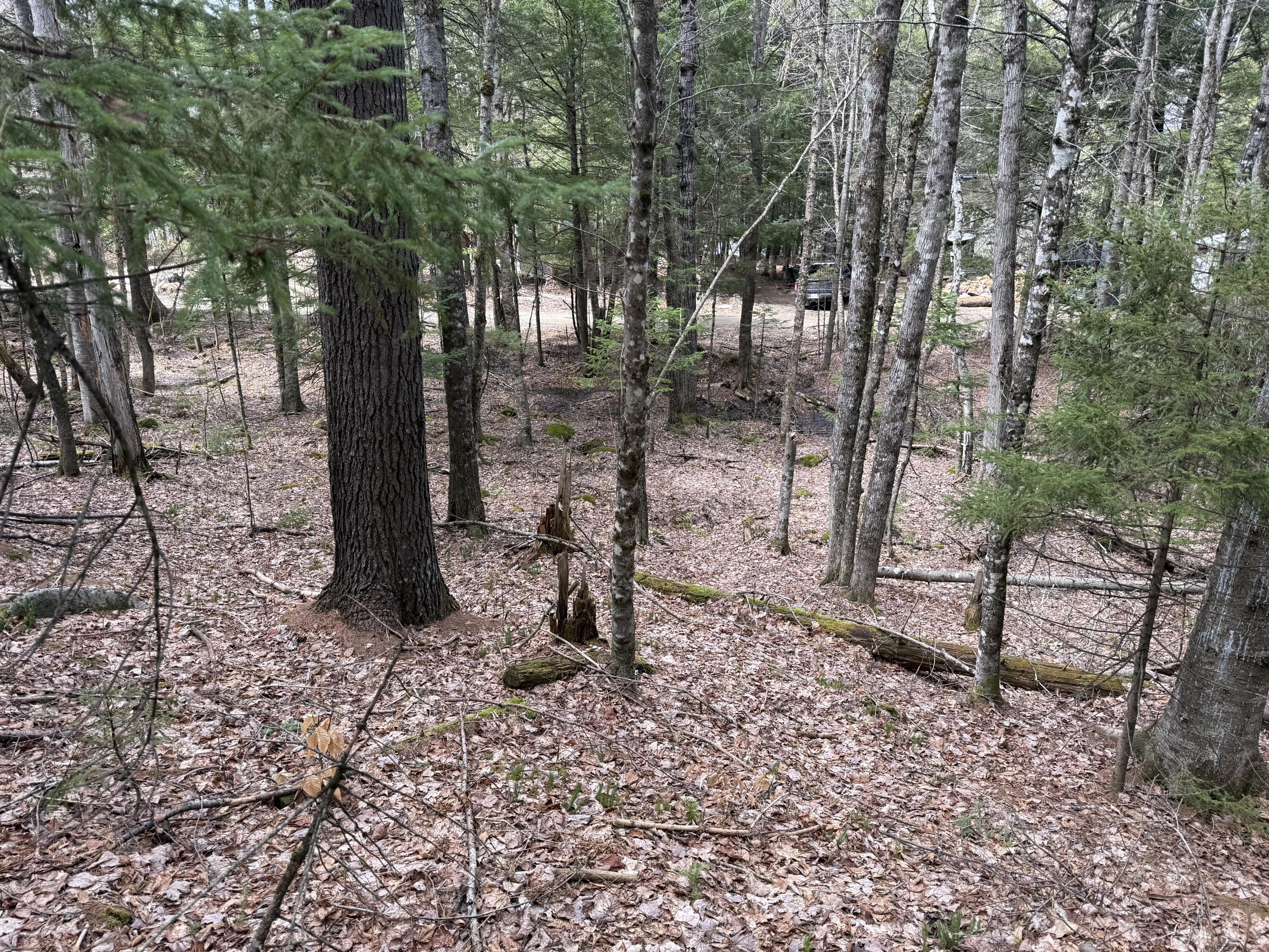 3 Webb River Acres Carthage ME 04224