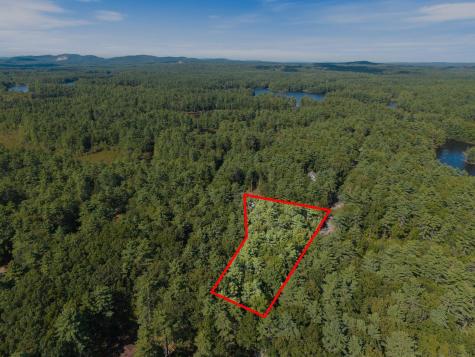 MP44LT270 Silver Lane Limerick ME 04048