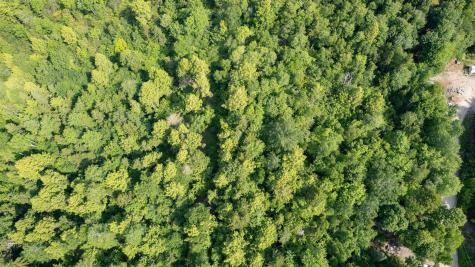 166 Sandy Acres Drive Sullivan ME 04664