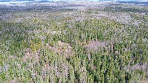 M Wa 032 Plan 01 L 101.1, 101.6, 101.7 Trescott Twp ME 04652