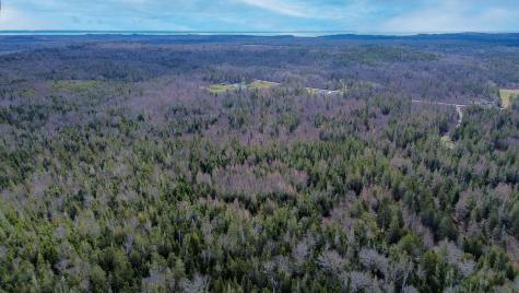 M Wa 032 Plan 01 L 101.1, 101.6, 101.7 Trescott Twp ME 04652