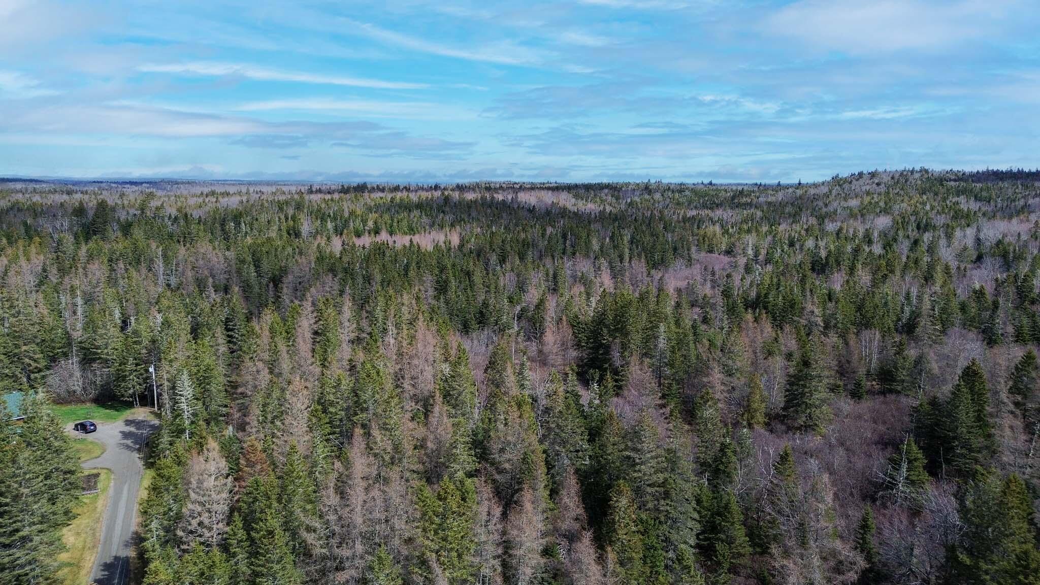 M Wa 032 Plan 01 L 101.1, 101.6, 101.7 Trescott Twp ME 04652