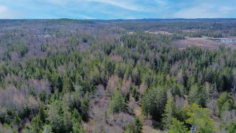 M Wa 032 Plan 01 L 101.1, 101.6, 101.7 Trescott Twp ME 04652