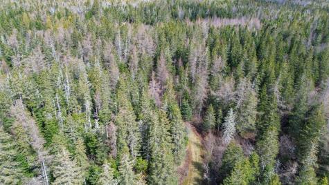 M Wa 032 Plan 01 L 101.1, 101.6, 101.7 Trescott Twp ME 04652