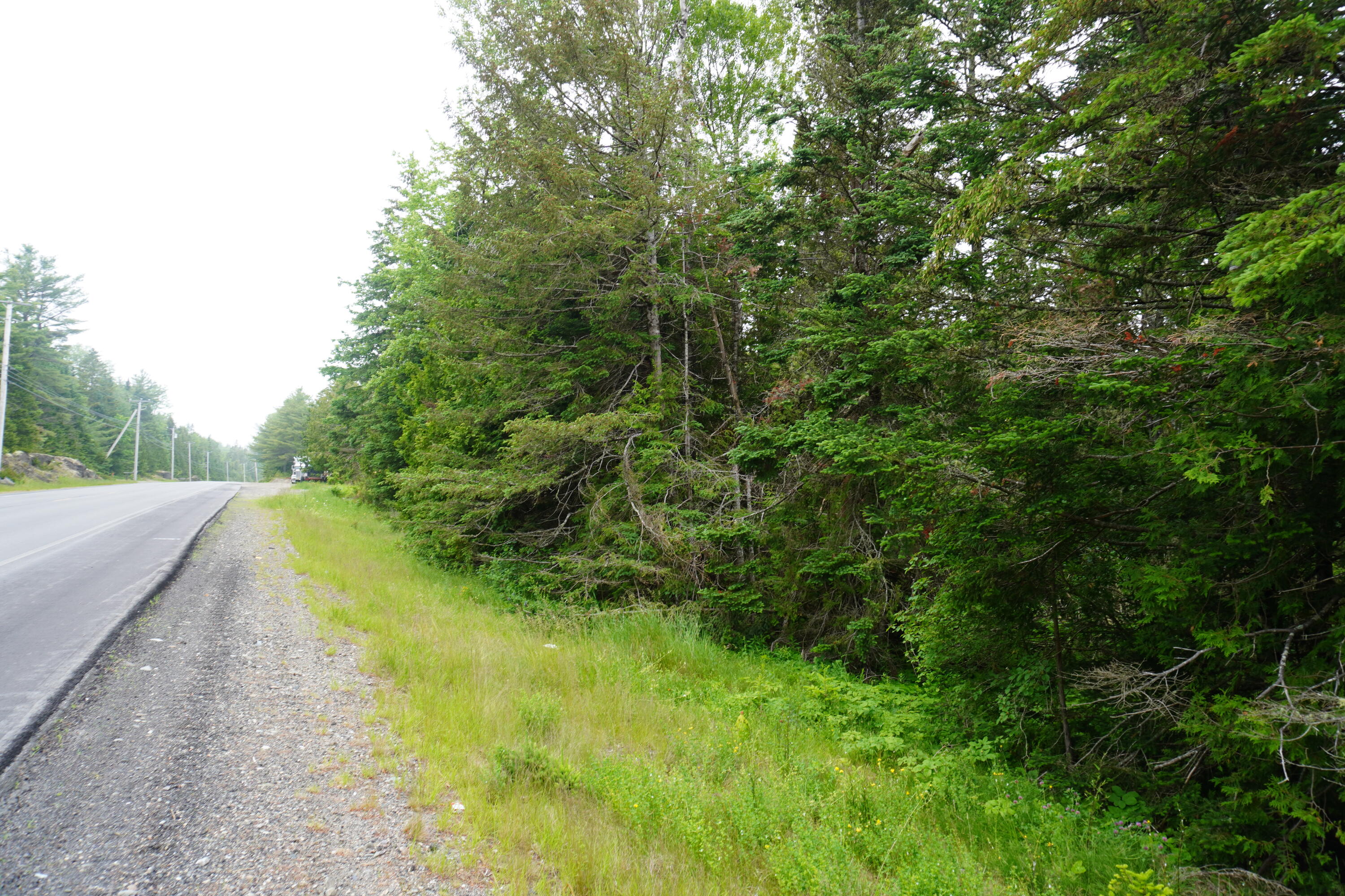 Lot 66 S River Road Edmunds Twp ME 04628