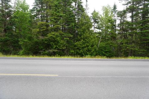 Lot 66 S River Road Edmunds Twp ME 04628