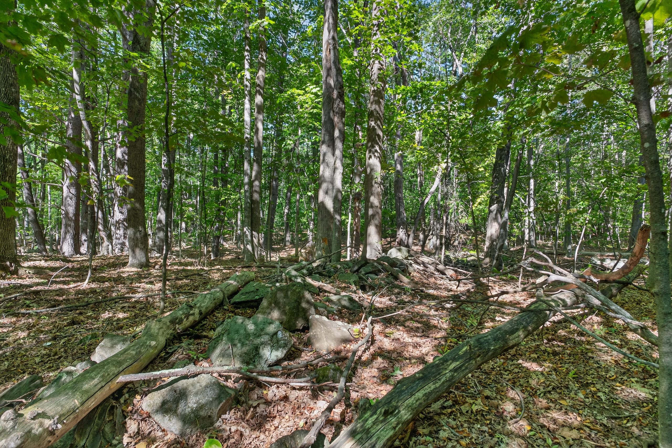 Tbd Elm Street Sanford ME 04083