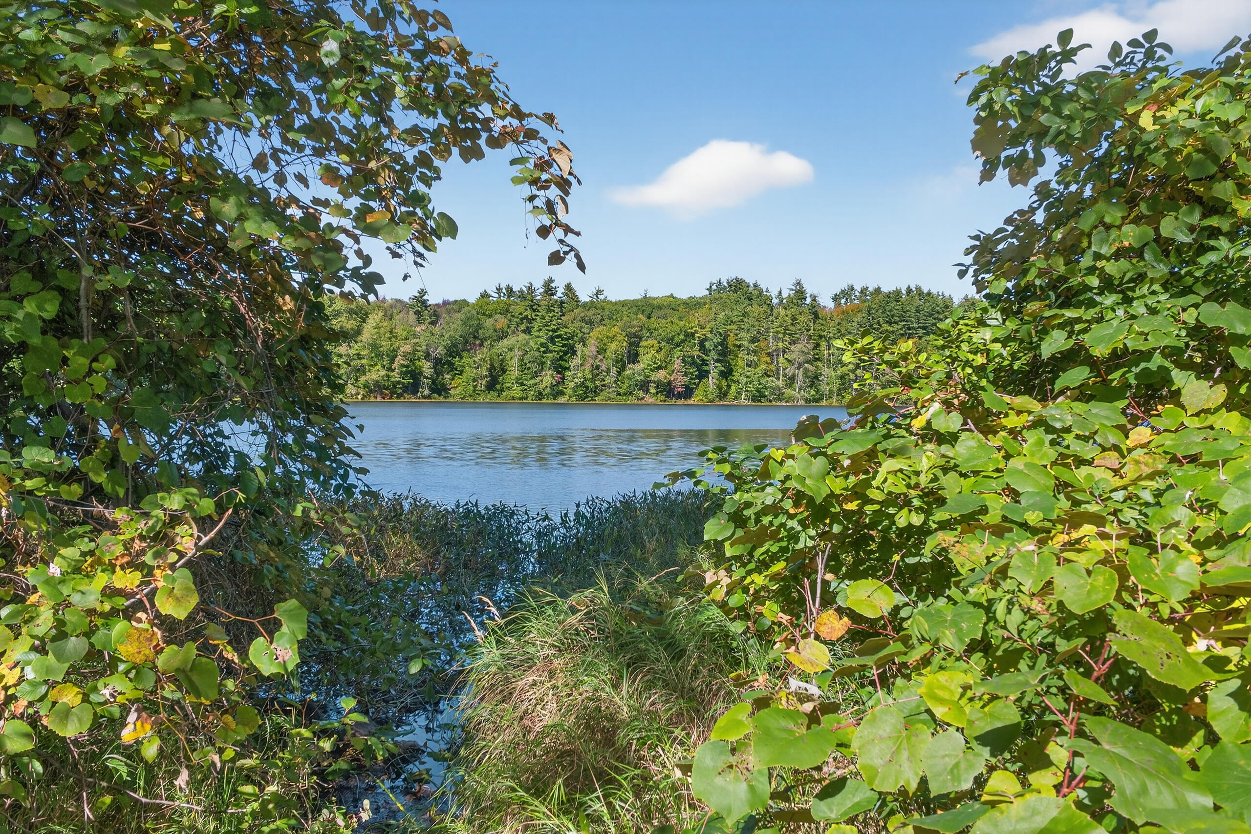 Tbd Elm Street Sanford ME 04083