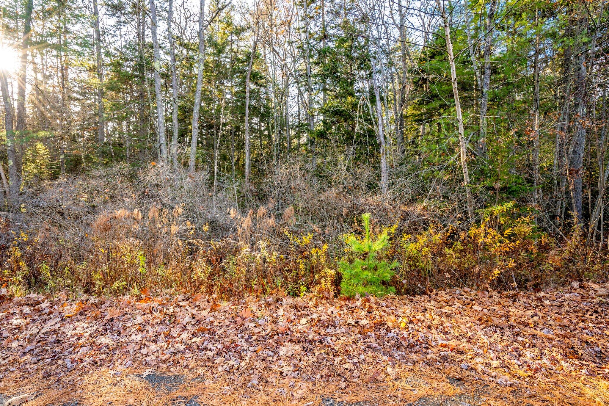 0 Woodside Road Brunswick ME 04011