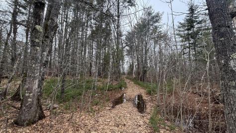 74 Mountain Road Woolwich ME 04579