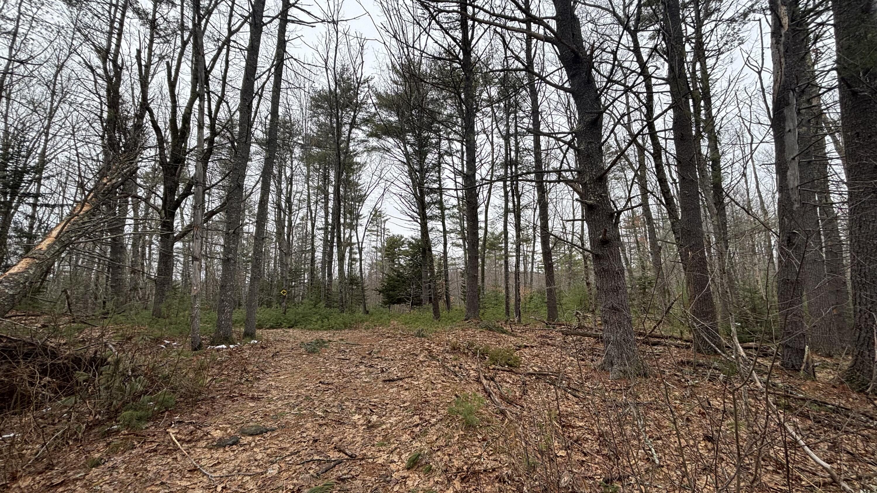 74 Mountain Road Woolwich ME 04579