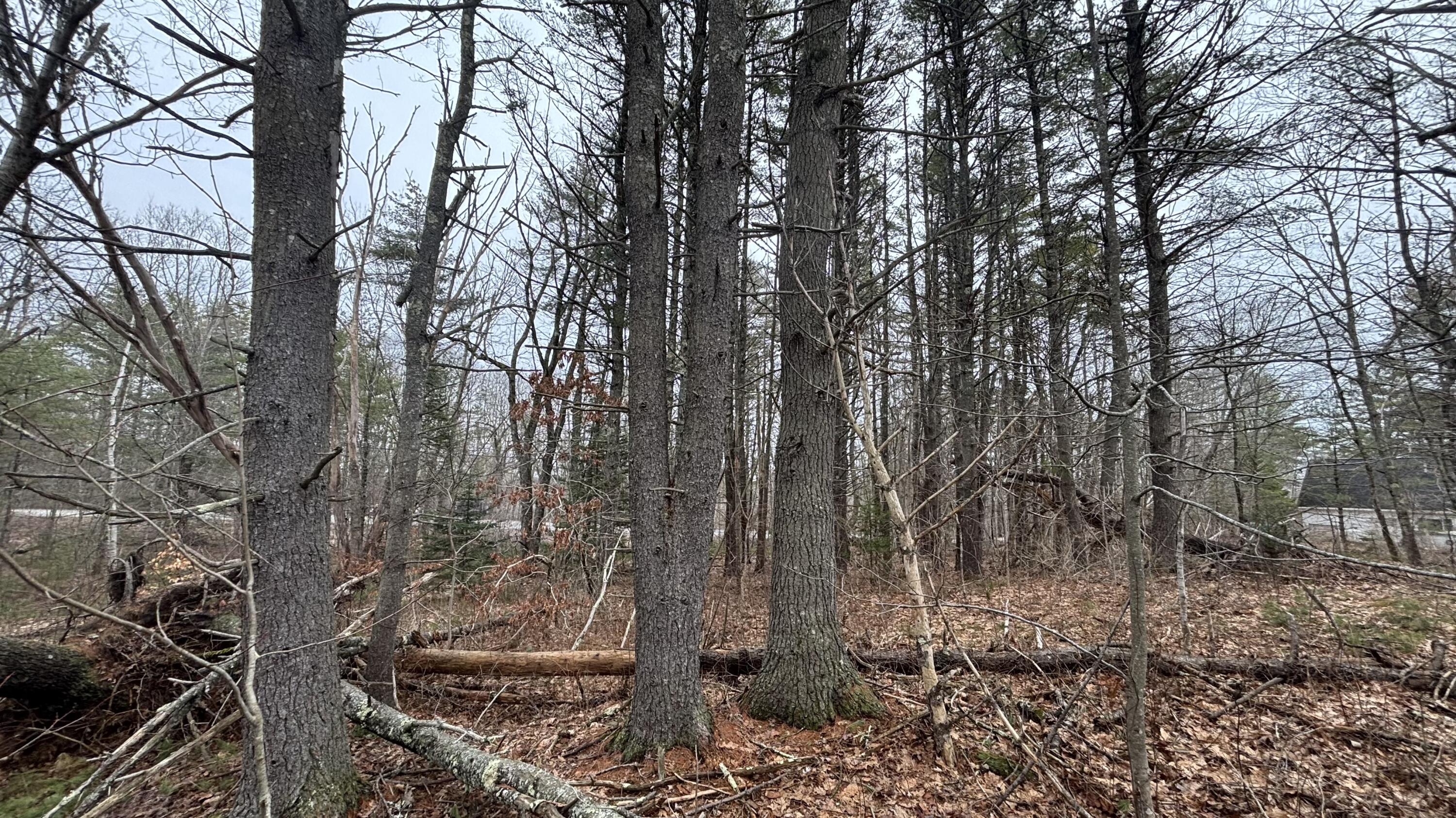74 Mountain Road Woolwich ME 04579