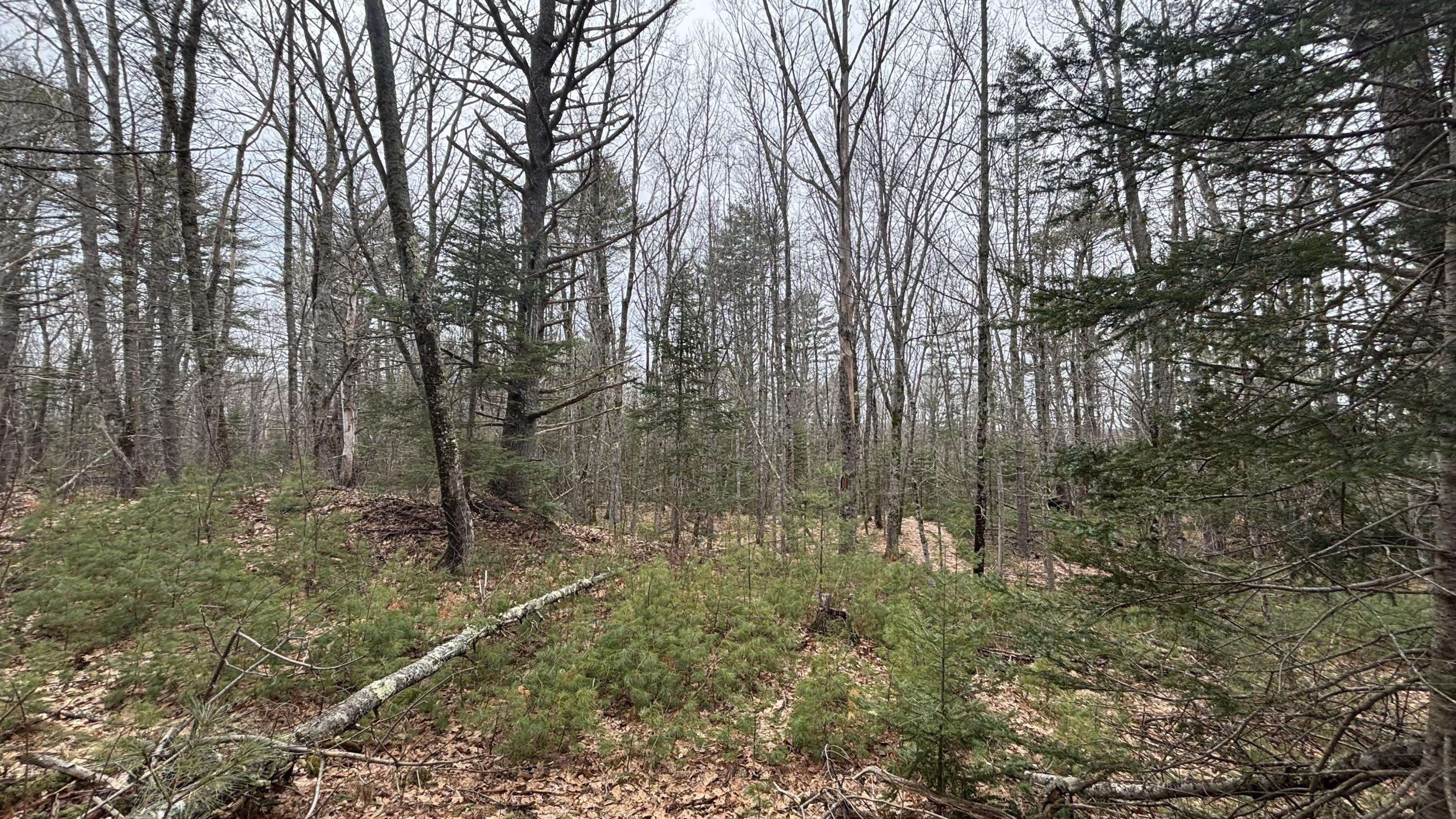 74 Mountain Road Woolwich ME 04579