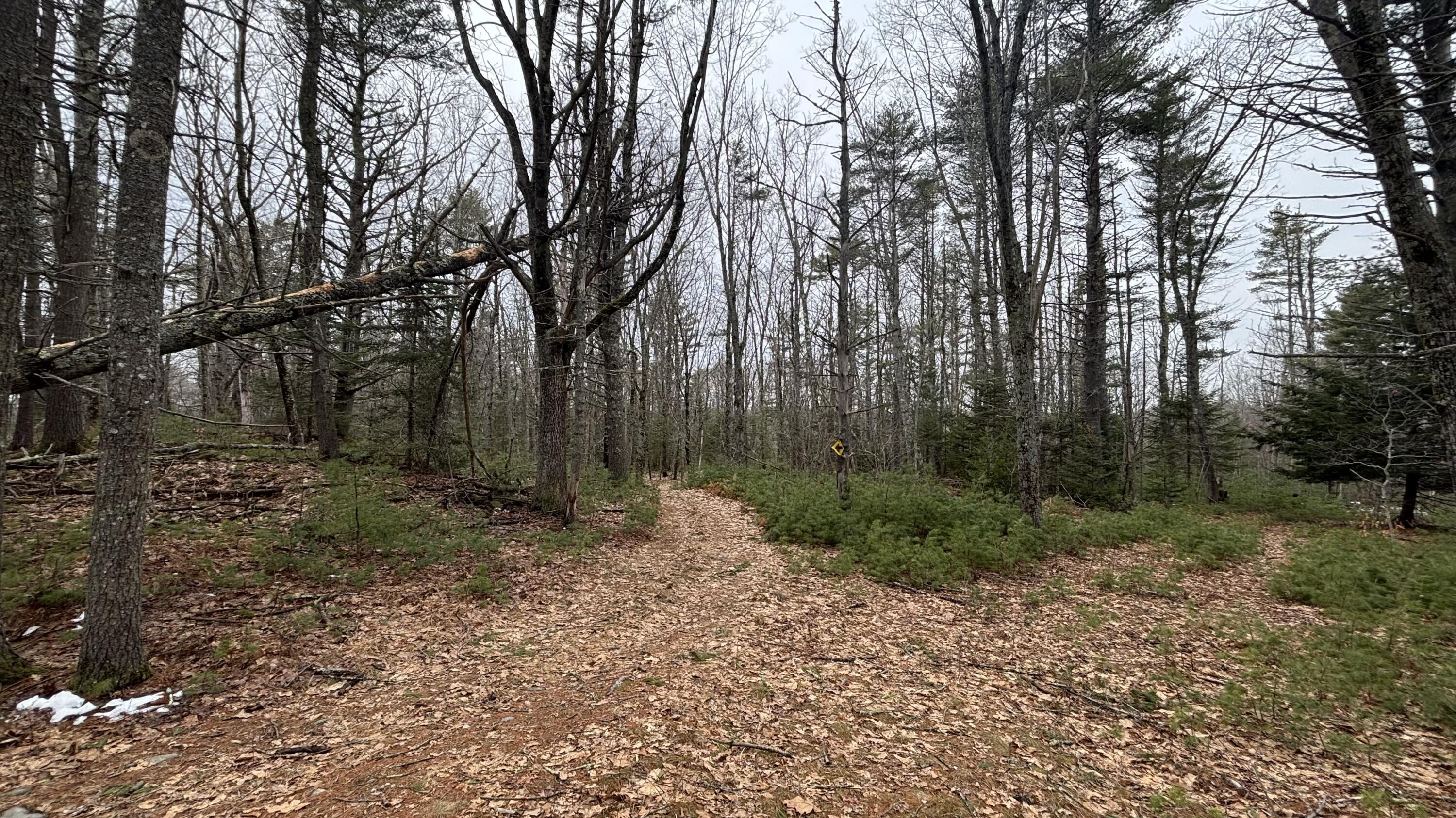 74 Mountain Road Woolwich ME 04579