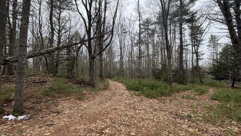 74 Mountain Road Woolwich ME 04579