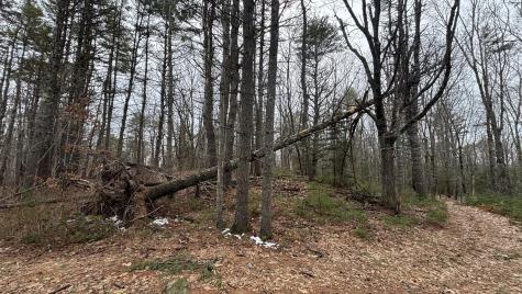 74 Mountain Road Woolwich ME 04579