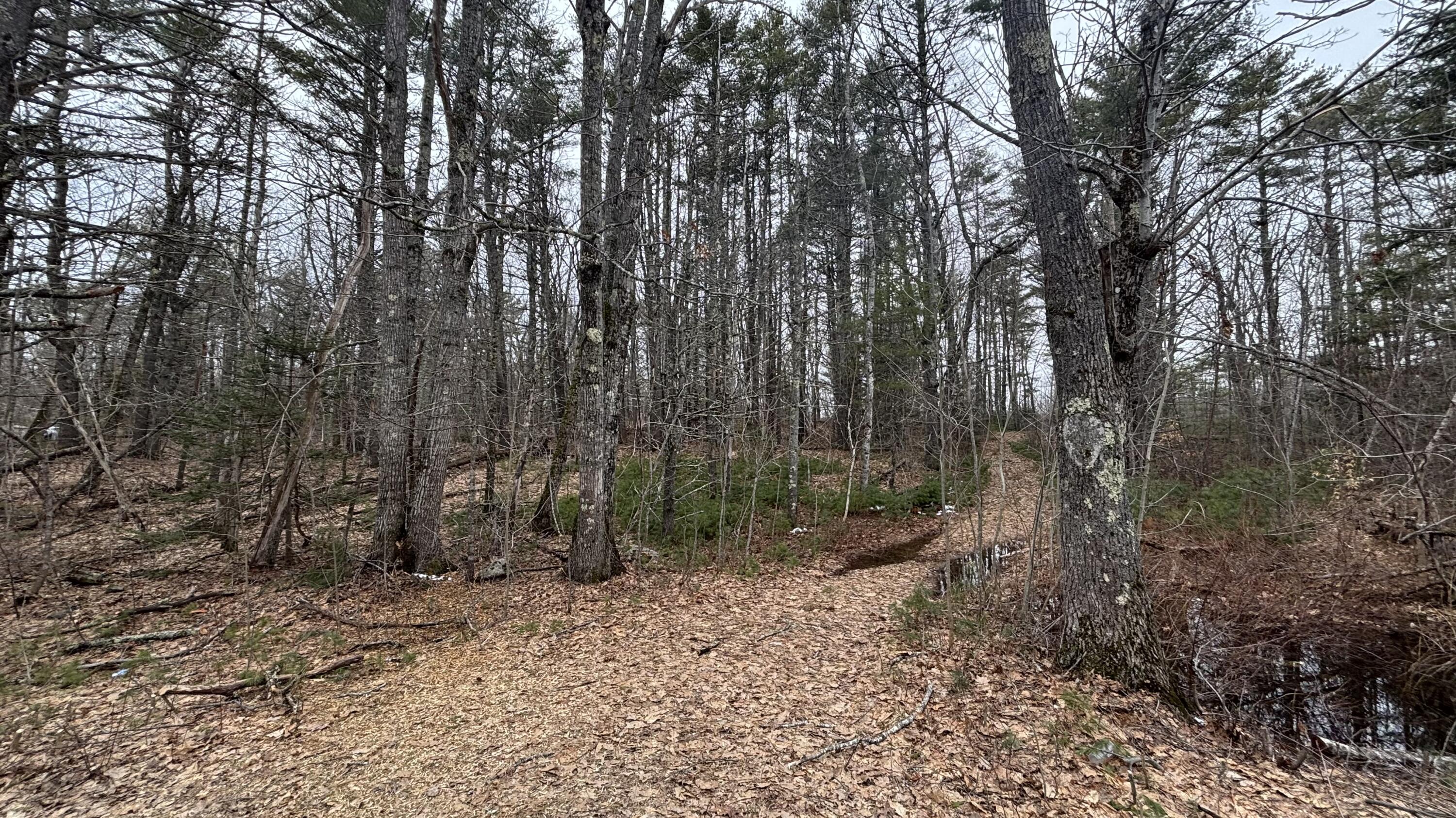 74 Mountain Road Woolwich ME 04579