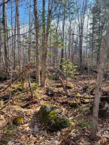 Lot #6 Hardwood Ridge Road Deblois ME 04622