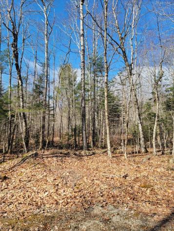 Lot #6 Hardwood Ridge Road Deblois ME 04622
