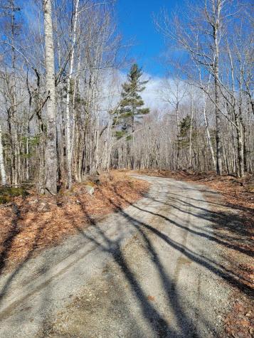 Lot #6 Hardwood Ridge Road Deblois ME 04622