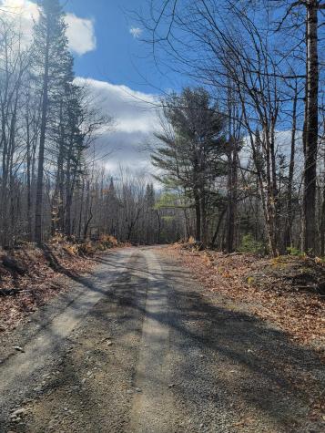 Lot #6 Hardwood Ridge Road Deblois ME 04622