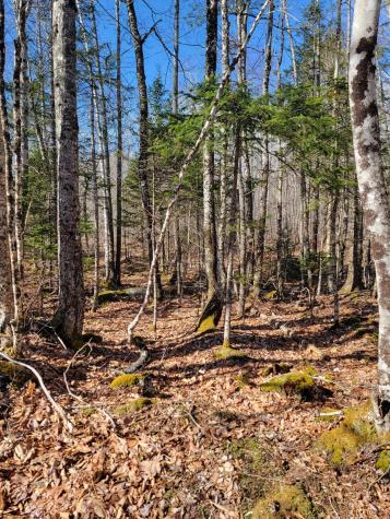 Lot #6 Hardwood Ridge Road Deblois ME 04622