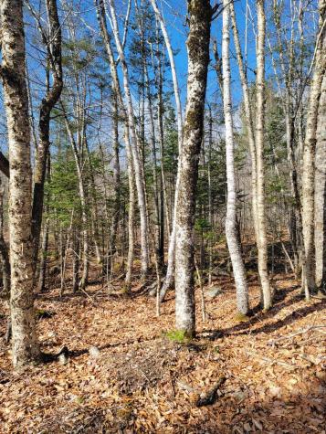 Lot #6 Hardwood Ridge Road Deblois ME 04622