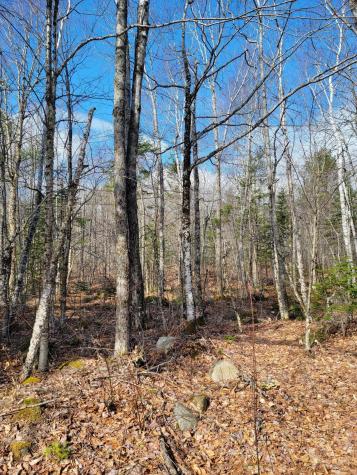 Lot #6 Hardwood Ridge Road Deblois ME 04622