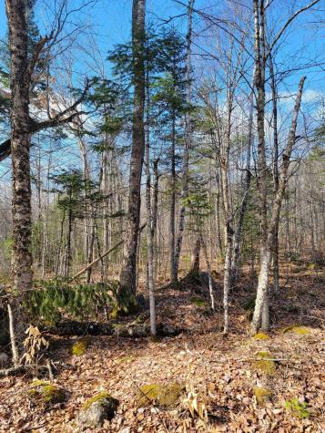 Lot #6 Hardwood Ridge Road Deblois ME 04622